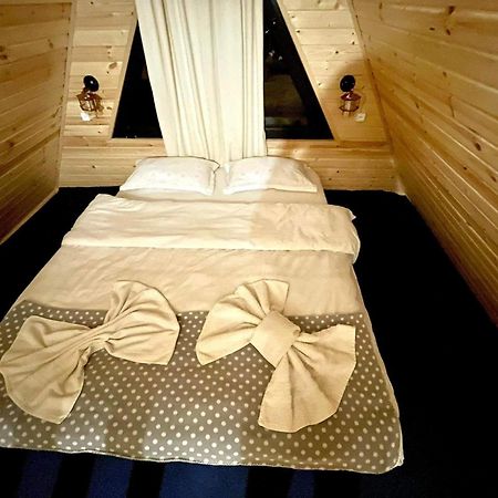 Ska Cottage Kasbegi Buitenkant foto